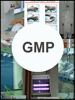 cGMP��֤